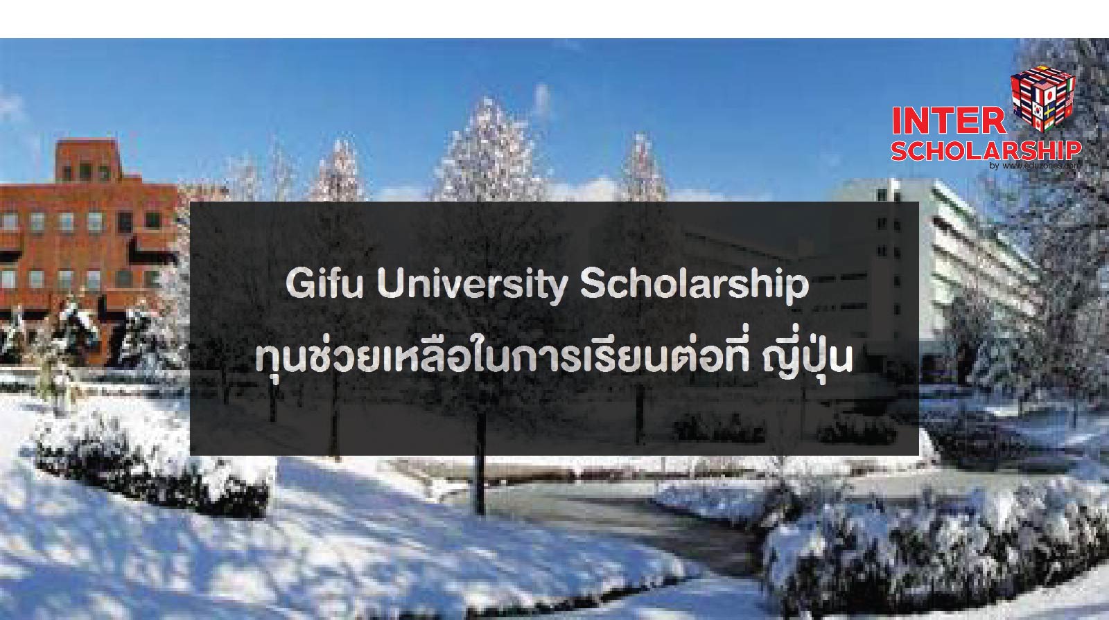 Gifu University Scholars